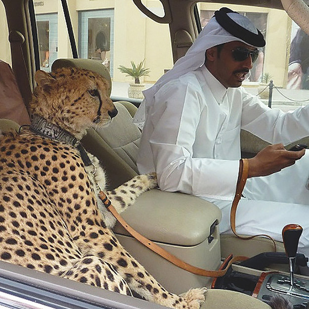 FOTOD: 12 fotojäädvustust, mis on tõenäoliselt võimalikud ainult Dubais‏