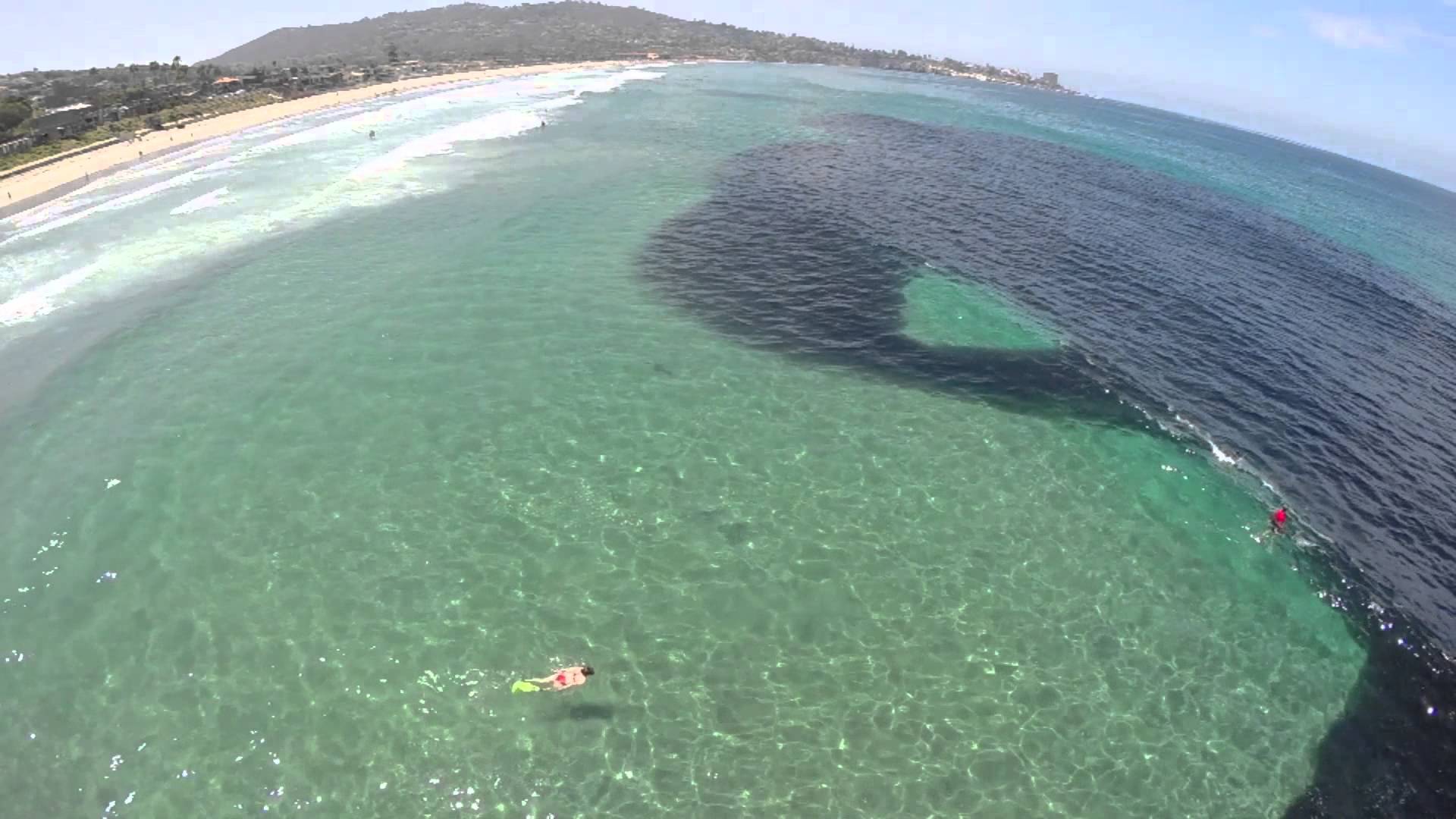 VIDEO: Arvad, et see on õlilaik või vetikad vees? Vale!