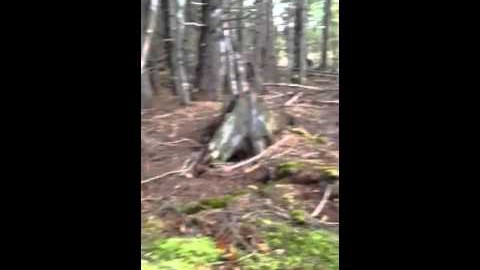 VIDEO: Selle mehe avastus metsas on midagi erakordset