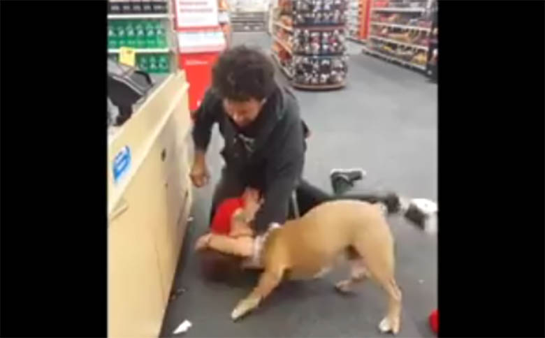 VIDEO: Kaks meest kaklevad kaupluses, kui ühtäkki hakkab koer peremeest ründama