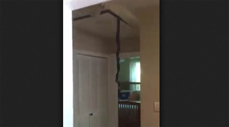 VIDEO: Mees tuli koju ning see vaatepilt, mis talle avanes oli rohkem kui jube...