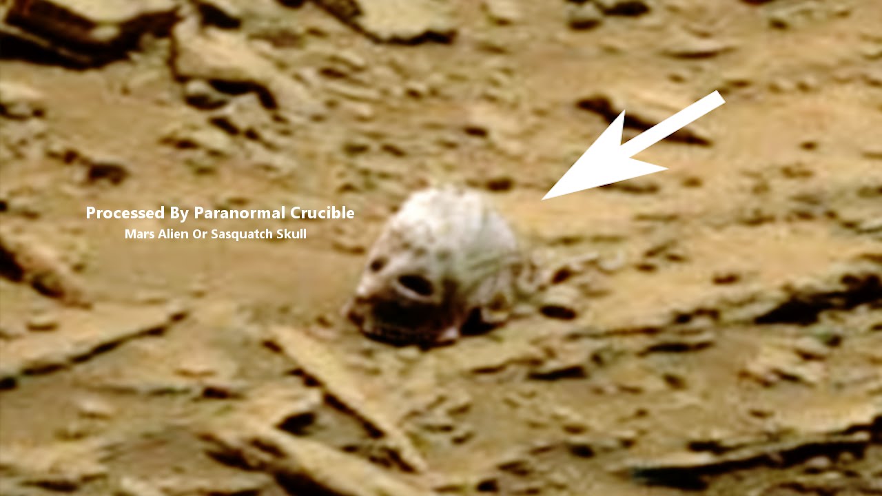 VIDEO: Marsilt leiti pealuu kujuga ese
