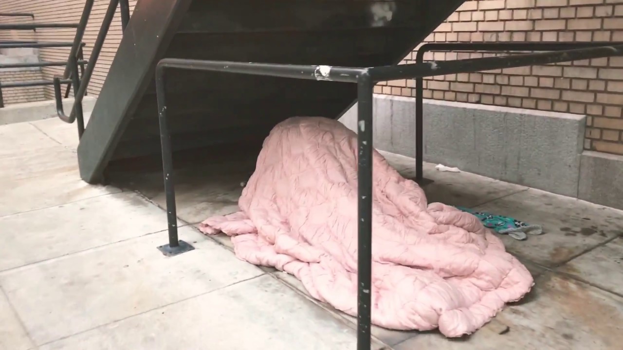 VIDEO: KODUTUD JAGAVAD armastust trepi all kattes ennast rätikuga