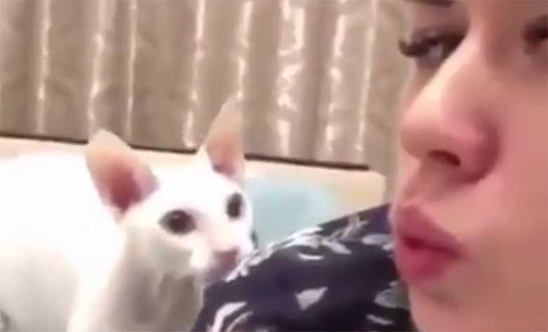 VIDEO: AI VALUS - vaata, mida see kass sellele naisele teeb