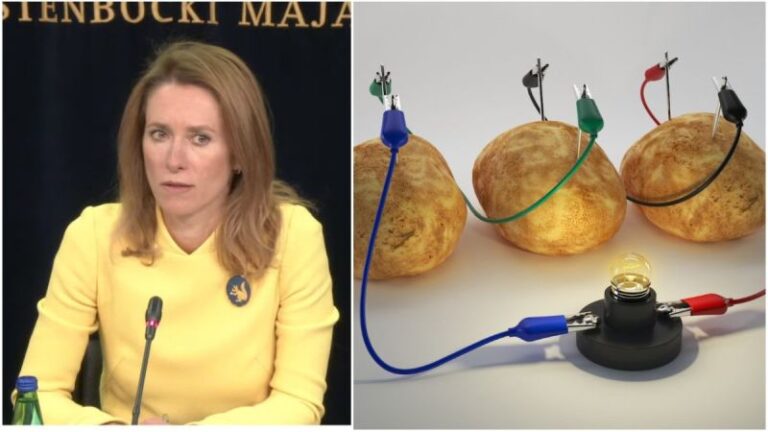 Valitsus hakkab hädas pensionäridele jagama tasuta kartuleid, millest saab elektrit toota