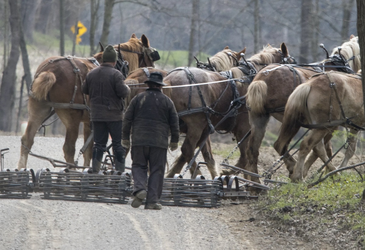 Värske rahandusminister: “Maainimesed käitugu nagu maainimestele kohane – sõitku hobusega!” Kui automaks ei sobi, siis sõitke hobusega.