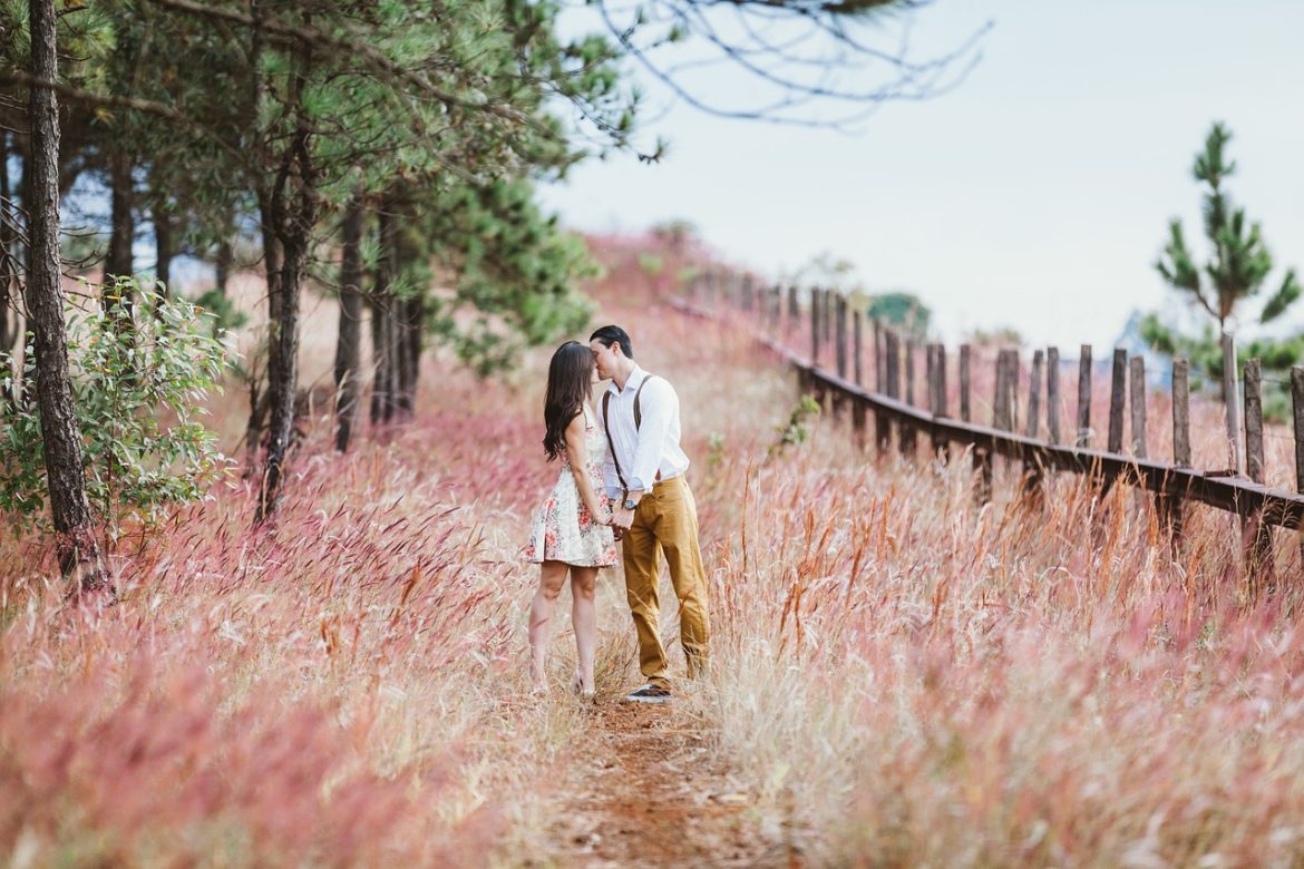 couple, kiss, field, meadow, kissing, holding hands, lovers, affection, affectionate, happy couple, couple kissing, marriage, love, vintage, man, woman, nature, outdoors, rural, countryside, couple, couple, couple, couple, couple, kiss, lovers, lovers, love, paar