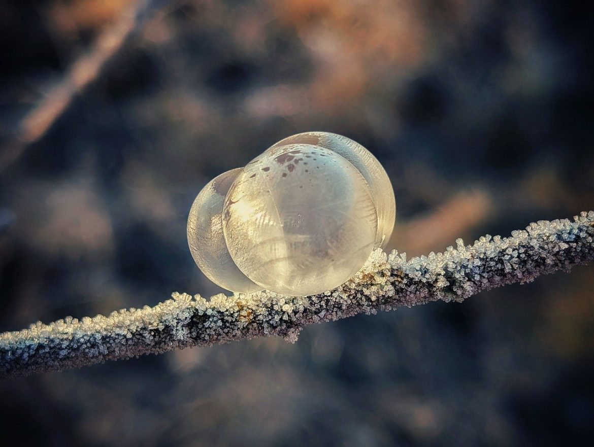 winter, snow, frost, cold, hoarfrost, winter landscape, soap bubbles, tender, nature, frozen, ice cream, talv, külm