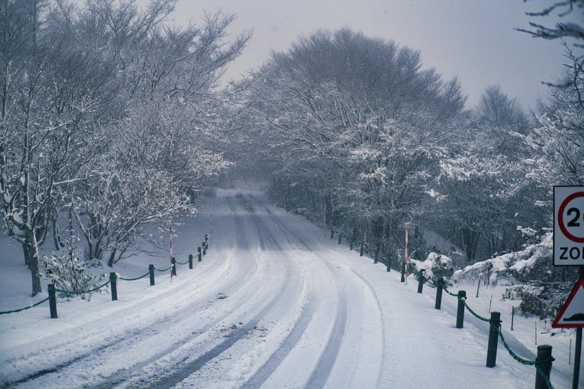 Peaceful winter scene of a snow-covered road through a forest with gentle snowfall.