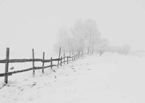 A serene winter scene featuring a rustic wooden fence in a snow-covered landscape.