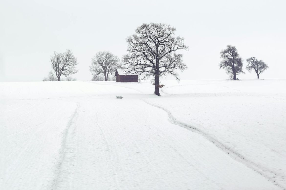 A tranquil snowy landscape with frosty trees and a wooden cabin in winter.
