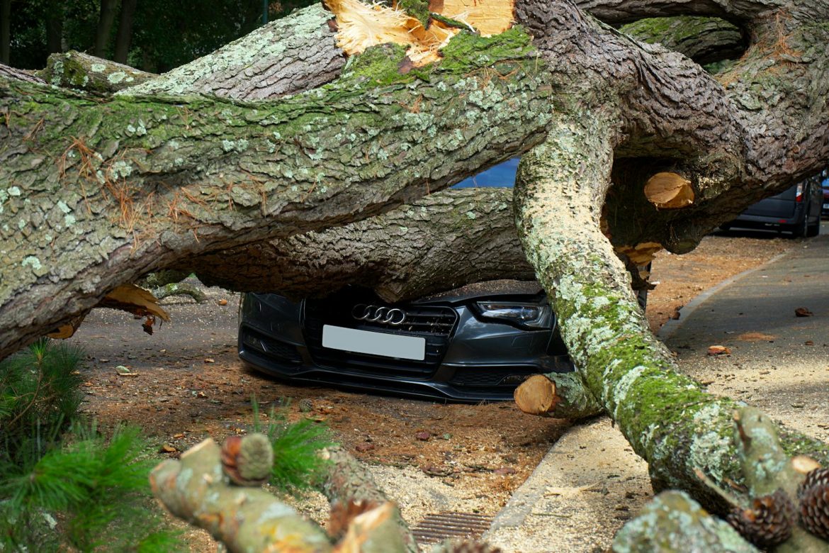 A large tree has fallen on an Audi car, severely damaging it on a city street in the UK.