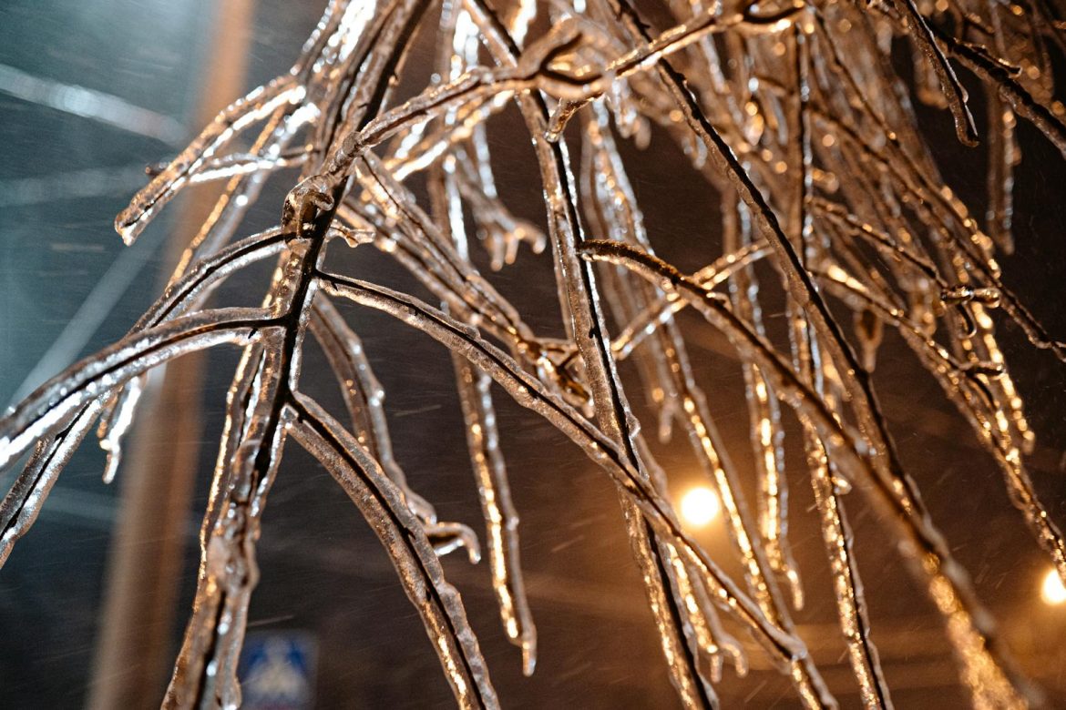 A detailed view of frozen branches covered in ice during a winter night.