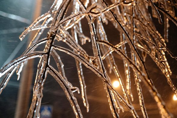 A detailed view of frozen branches covered in ice during a winter night.