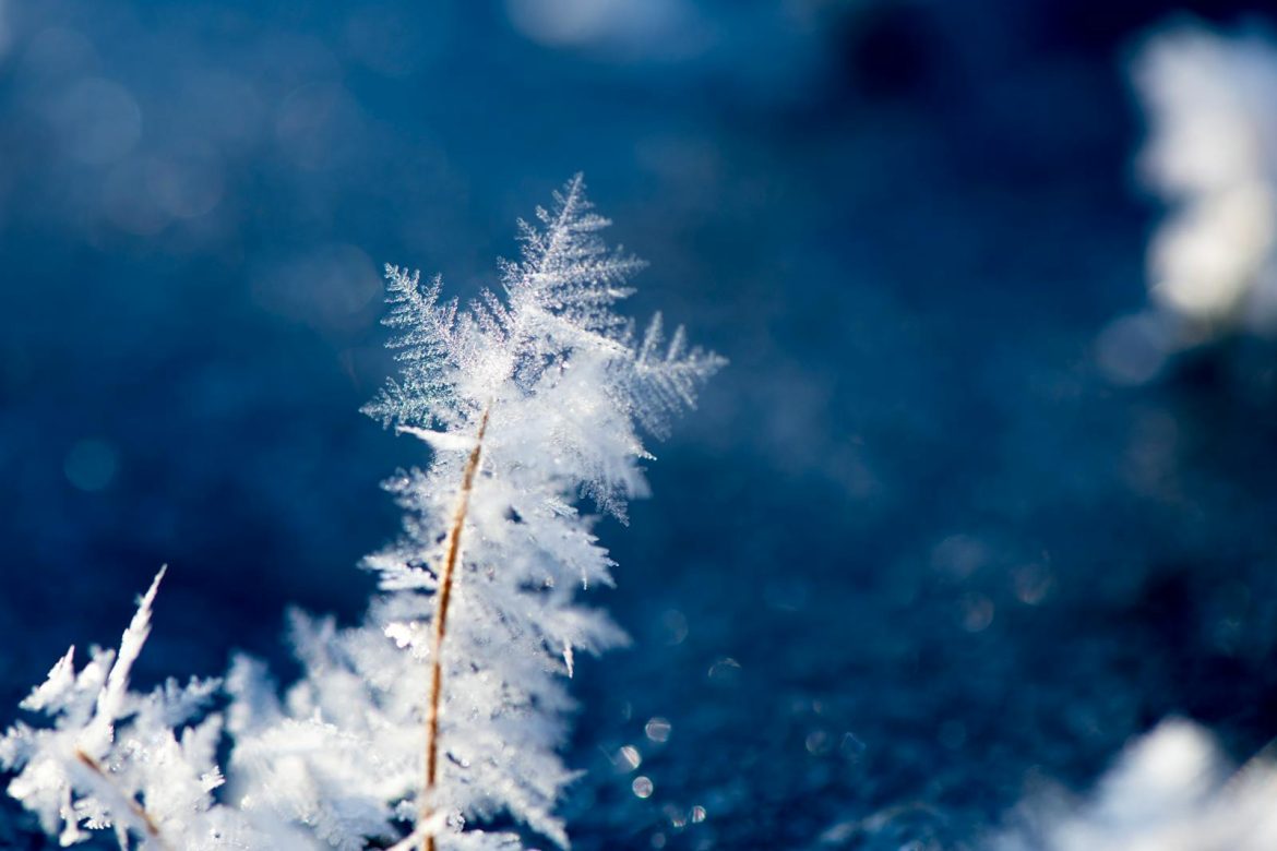 Close-up of intricate ice crystal formations on a cold winter day outdoors.