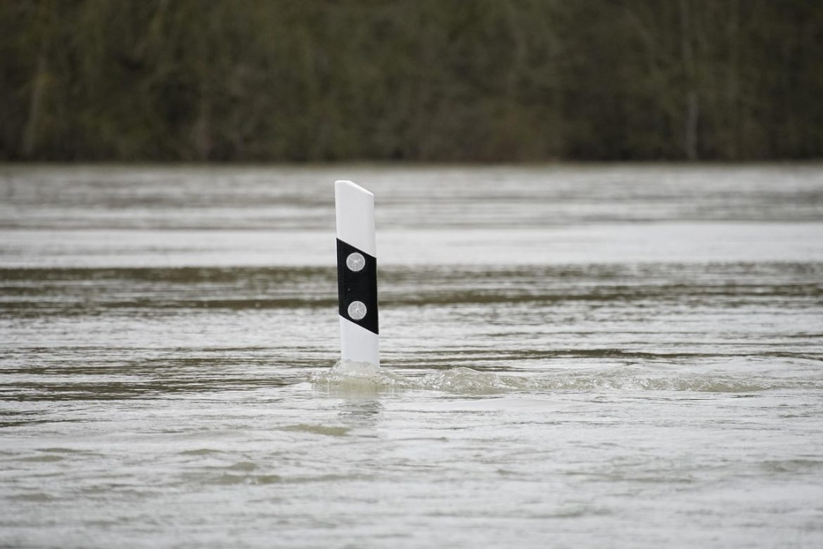 flood, water, pole, flooding, flooded, street, street pole, river, rhine, nature, flood, flood, flood, flood, flood, flooding, flooding