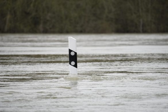 flood, water, pole, flooding, flooded, street, street pole, river, rhine, nature, flood, flood, flood, flood, flood, flooding, flooding