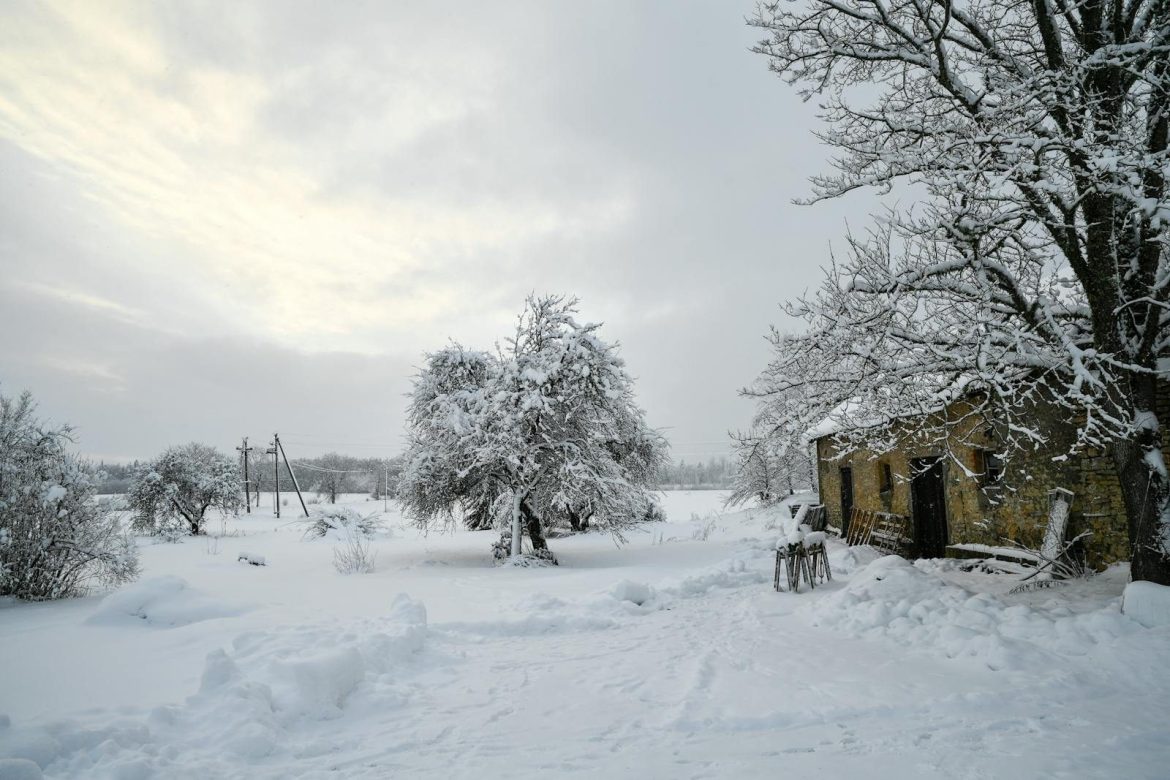 Experience a peaceful snowy scene with a rustic building in Rapla County's winter landscape.