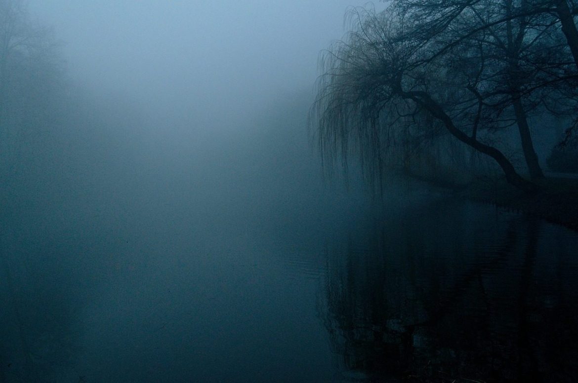 the fog, darkness, nature, trees, landscape, tree, twilight, blue, the background, darkness, darkness, darkness, darkness, darkness