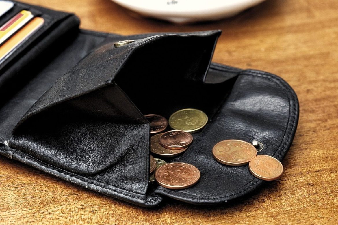 money, currency, euro, pay, to buy, wallet, bank, purchase, business, trade, cash, credit, wallet, wallet, wallet, wallet, wallet