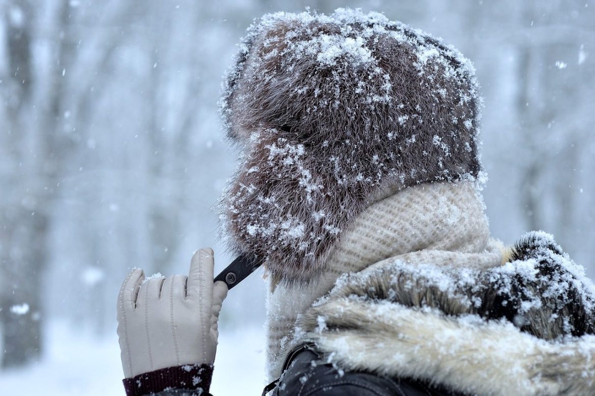 gloves, leather gloves, nature, fur, fur hat, clothes, fashion, cold, weather, winter, snow, snowfall, snowflakes, skin, leather clothing, fur coat, hand, adult, hands, accessory, elegance, leather, furs