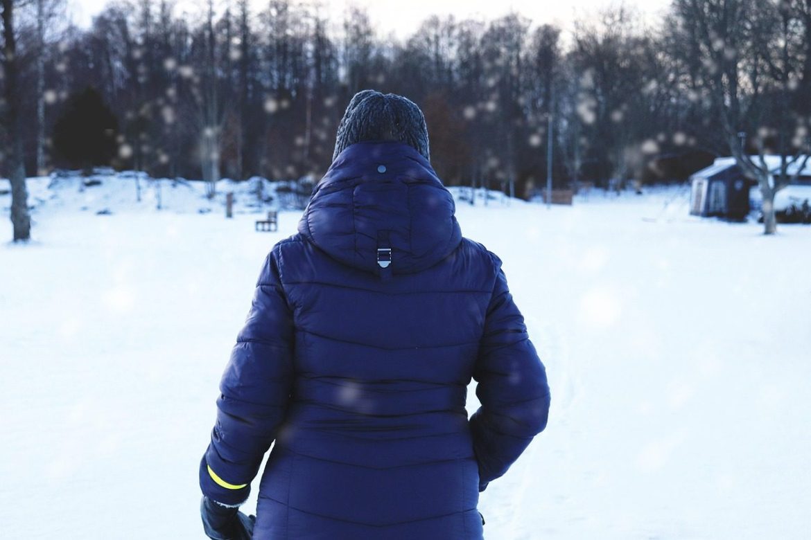 winter, snowfall, nature, person, fashion, clothing, walking, cold, alone, snowing, snow, outdoors, back view