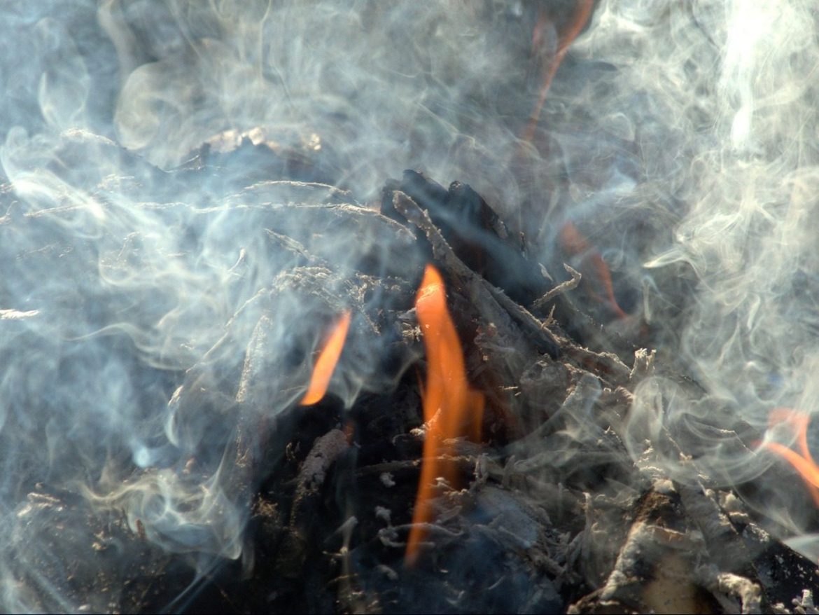 smoke, fire, dangerous, hot, burning, blaze, nature, glow, wood, logs, forest, waste, close-up
