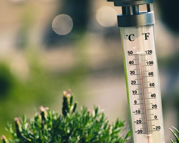 hot, summer, celcius, fahrenheit, nature, thermometer