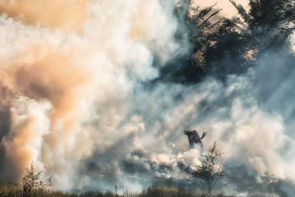 firemen, fire, smoke, rescue, brave, hero's, grass fire, forest fire, dangerous, job, douse, tragedy, emergency, adrenaline, smoke, smoke, smoke, brave, brave, brave, forest fire, forest fire, forest fire, forest fire, forest fire, emergency
