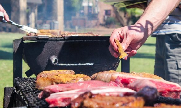 braai, south africa, meat, africa, nature, summer, barbecue, party, lunch, outdoor, delicious, sausage, grilled, grill, sunny, food, fire, hot, dinner, sunshine, coals, cook, cooking, cuisine, weekend, kuier, boerewors, picnic