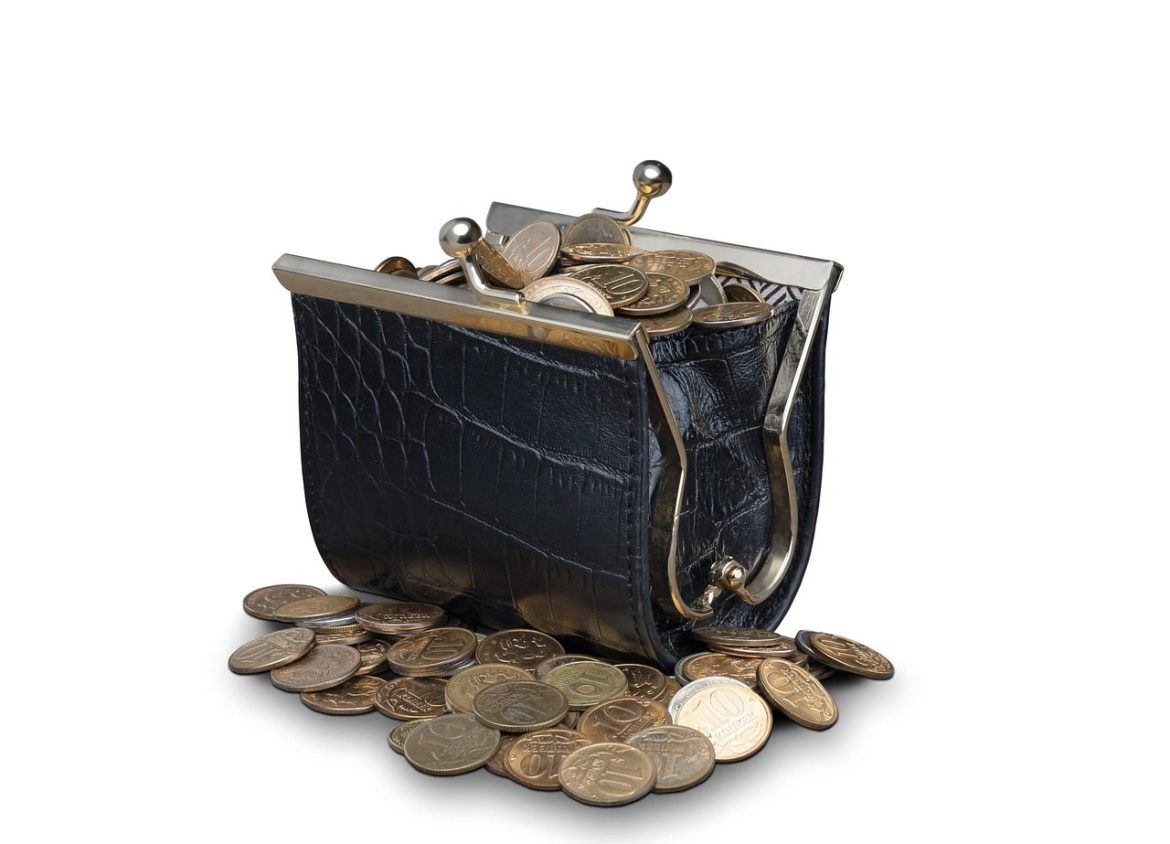coins, purse, wallet, money, currency, change, cash, finance, savings, financial, leather purse, coin purse, purse, purse, purse, purse, purse, wallet, coin purse, coin purse