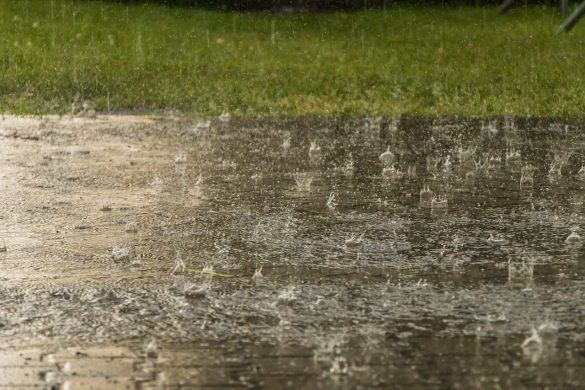 rain, weather, raindrop, heavy rain, storm, wet, nature, water, cloudburst, heavy rain, heavy rain, heavy rain, heavy rain, heavy rain
