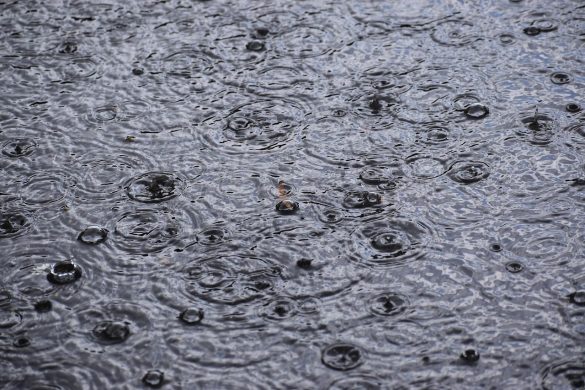puddle, raindrops, falling, wet, weather, reflection, nature, storm, fall, raining, precipitation, natural, blue rain, gray rain, blue storm, gray storm, precipitation, precipitation, precipitation, precipitation, precipitation
