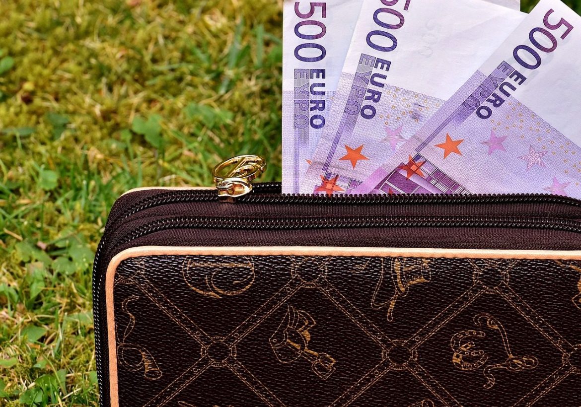 wallet, seem, banknotes, 500 euro, currency, euro, save up, money, pay, shopping