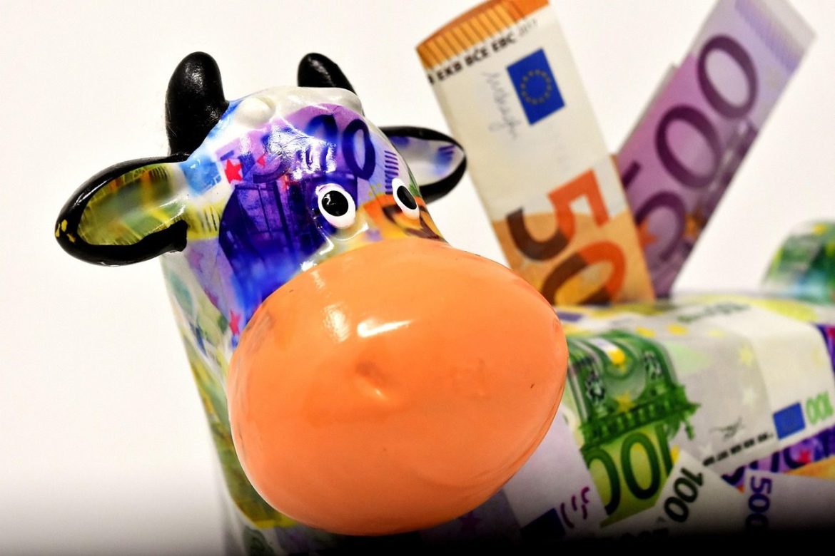piggy bank, money, cow, dollar bill, 500 euro, 50 euro, save up, ceramic, economical, fun, save money, finance, porcelain, euro